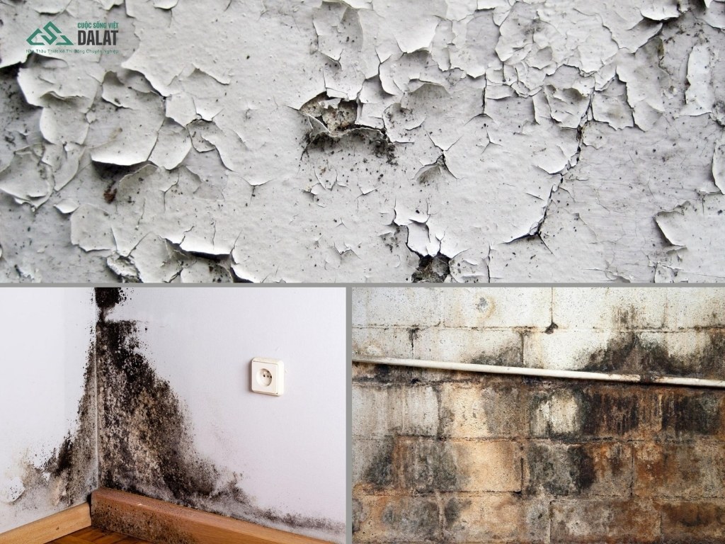 Các dấu hiệu nhà ở xuống cấp cần được bảo trì định kỳ