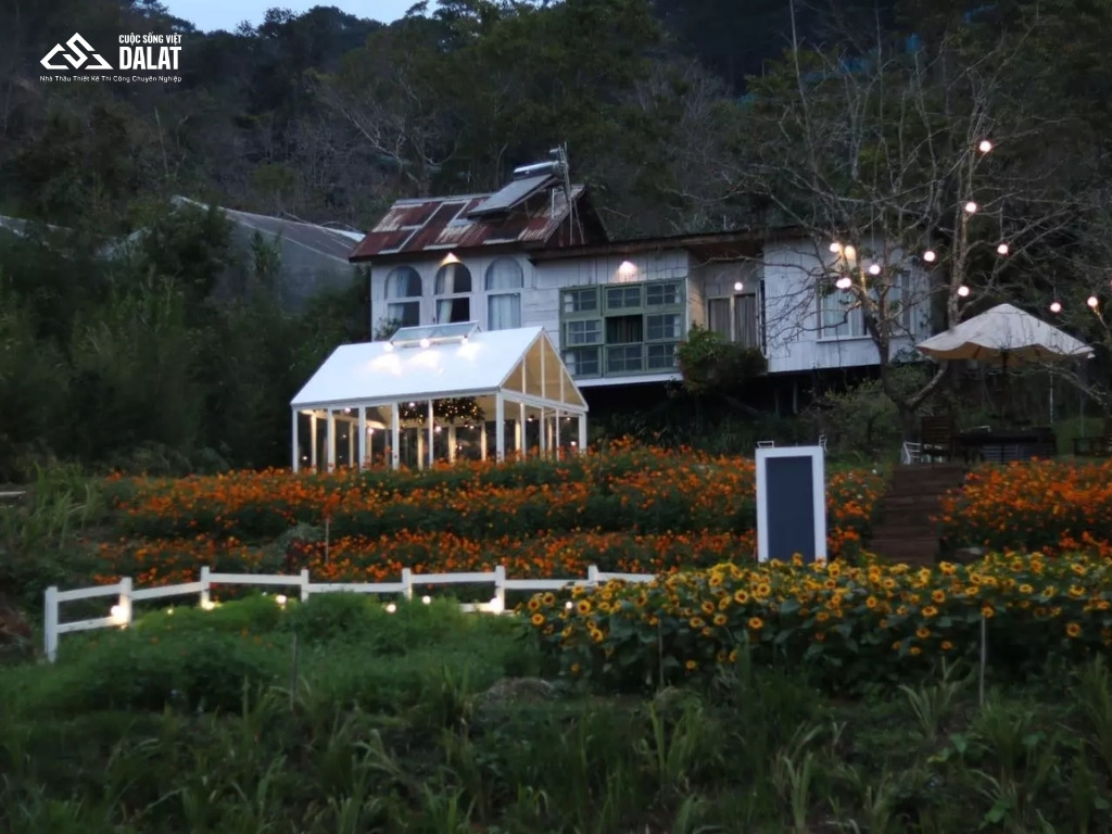 Xu hướng các mẫu homestay Đà Lạt hiện nay đa dạng mẫu mã
