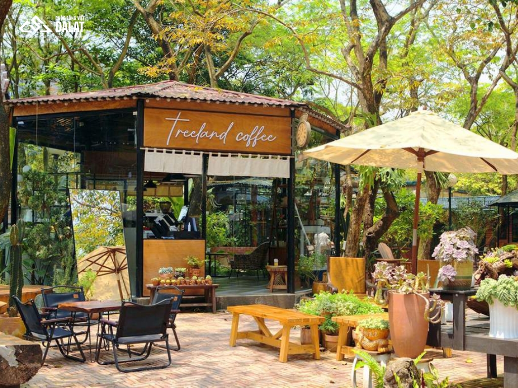 Mẫu quán cà phê gỗ sân vườn mùa hè