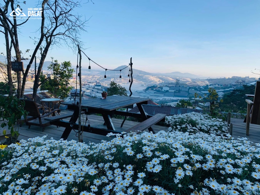 Cà phê phong cách cabin rừng