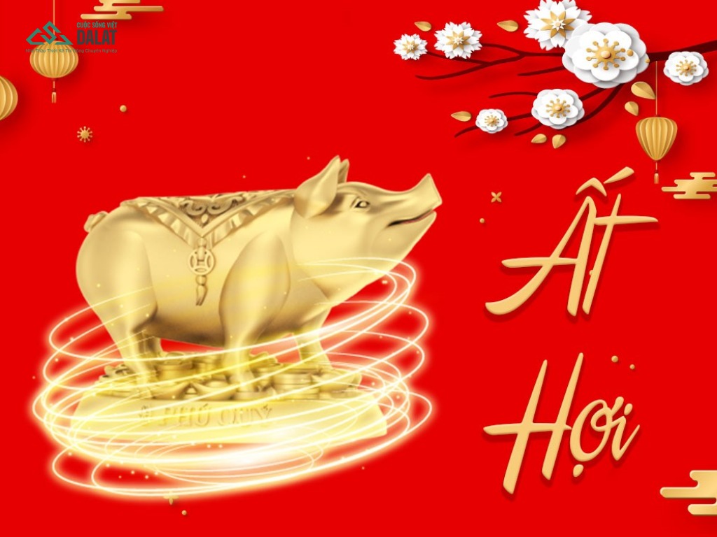 Tổng quan 1995 xây nhà năm 2026