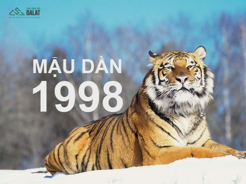 1998 xây nhà năm 2026 có phải là thời điểm phù hợp không?