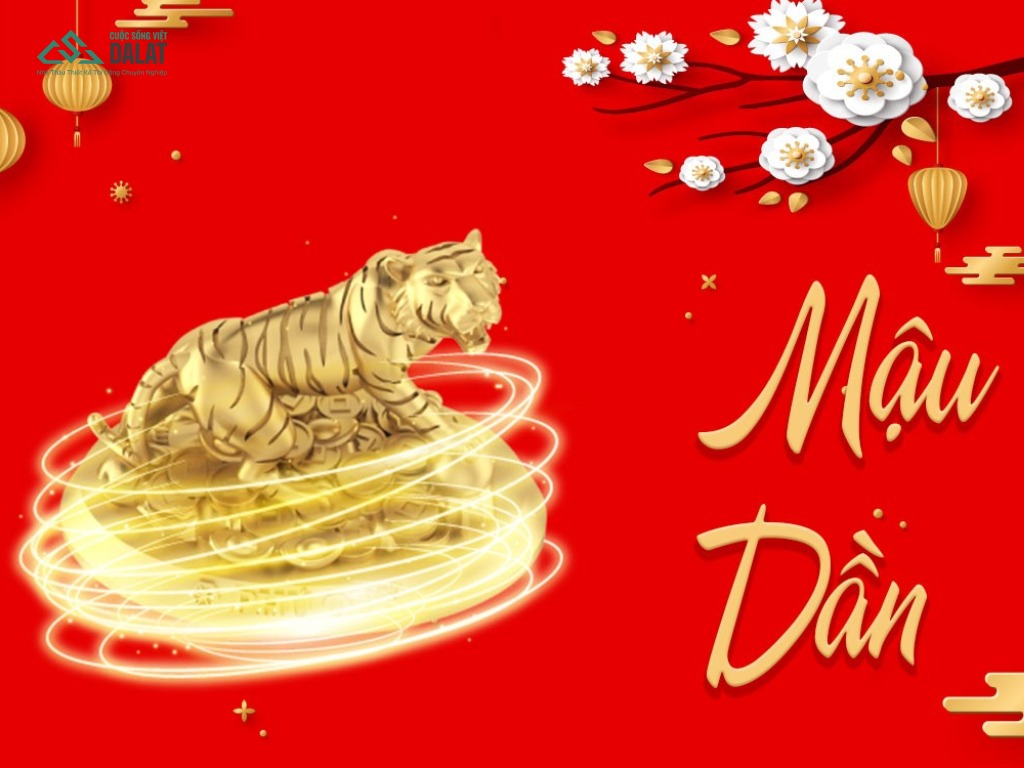 1998 xây nhà năm 2026 hay năm 2025 sẽ phù hợp