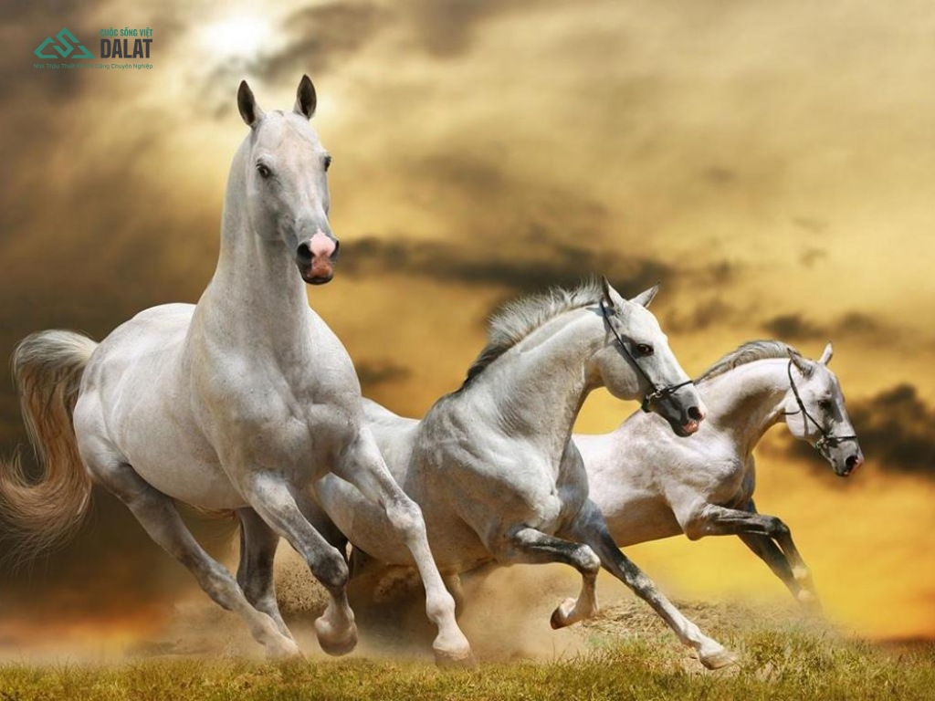 Tuổi Mậu Ngọ năm 2026 có làm nhà được không?